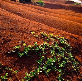 《FIFA 22》标准版无法免费升级到次世代版本